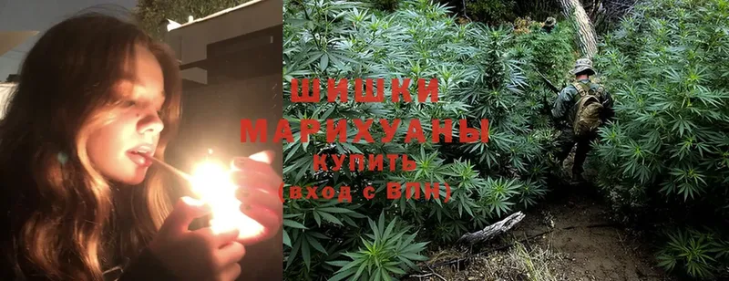 Марихуана White Widow  Правдинск 